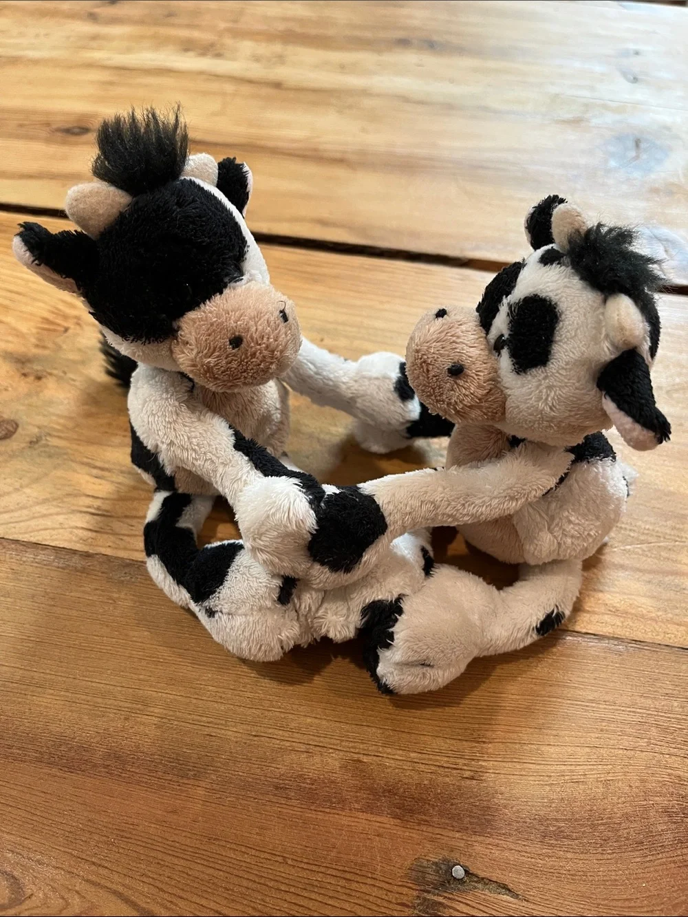 Gund magetic paws